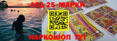 дмт Аргун