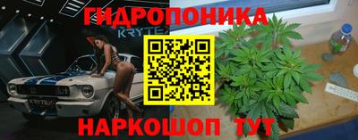 дмт Аргун