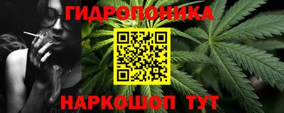 дмт Аргун