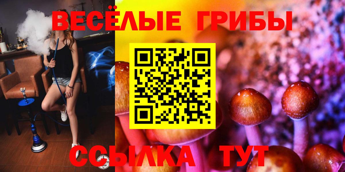 Псилоцибиновые грибы Psilocybe  Вход с VPN  Богородск 