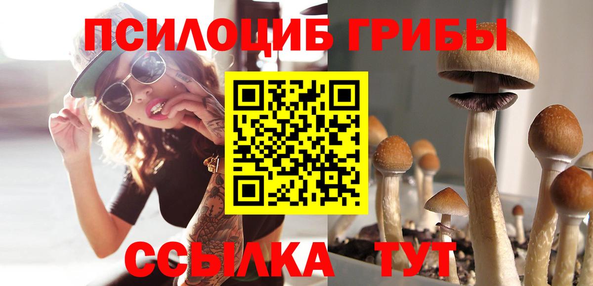 Галлюциногенные грибы Magic Shrooms Богородск